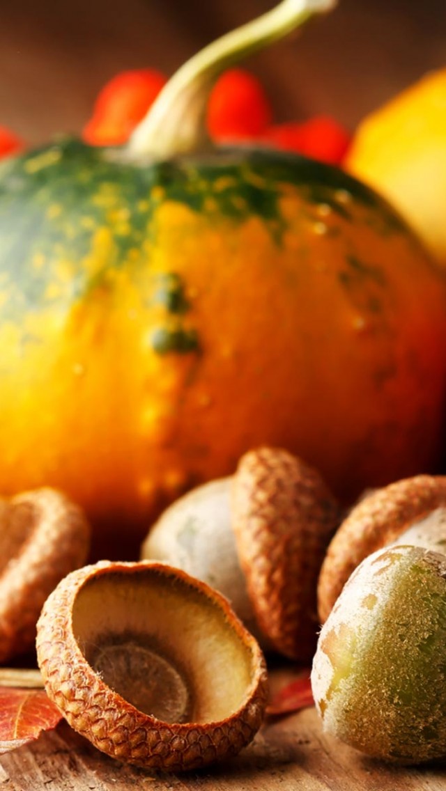 Thanksgiving Desktop Backgrounds - HD Wallpaper 