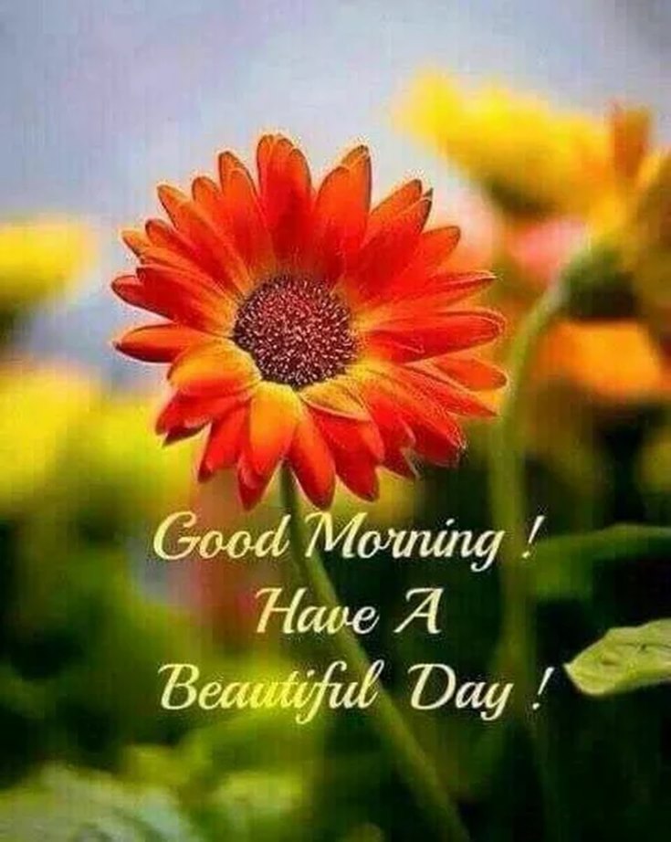 Good Morning With Beautiful Quotes - HD Wallpaper 