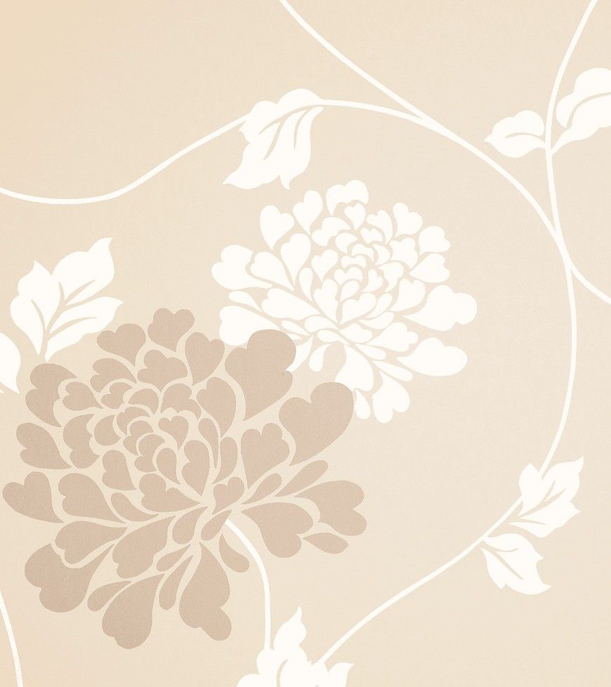 Wallpaper - HD Wallpaper 