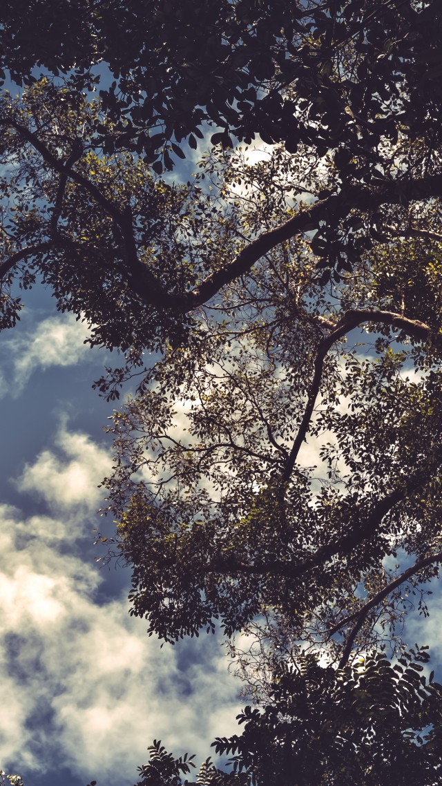 Total Solar Eclipse Of Aug 21 2017, Great American - Beautiful Pictures Of The Solar Eclipse - HD Wallpaper 