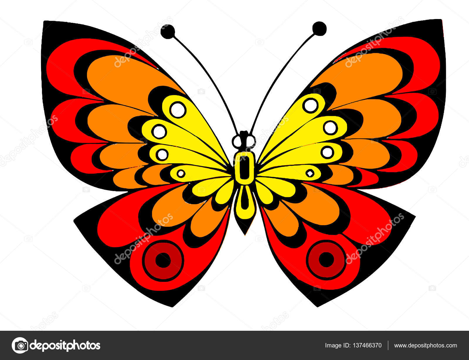 Yellow Red Orange Butterfly - HD Wallpaper 