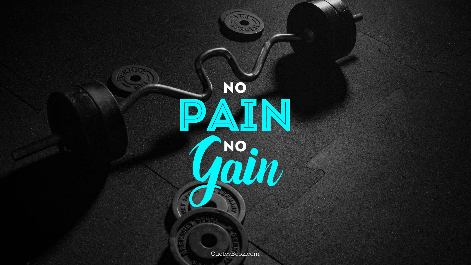 Gym No Pain No Gain Wallpaper Hd - 1920x1080 Wallpaper 