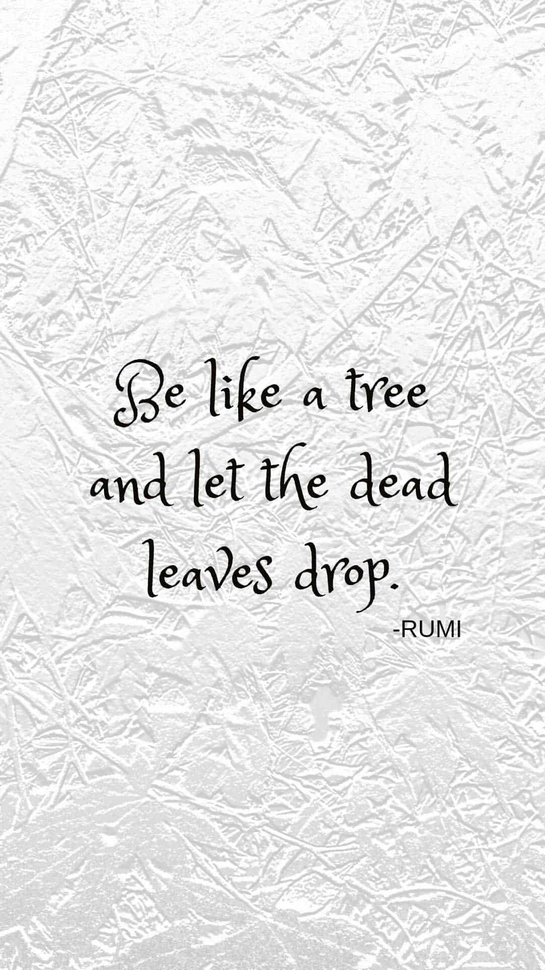 Rumi Quotes - HD Wallpaper 