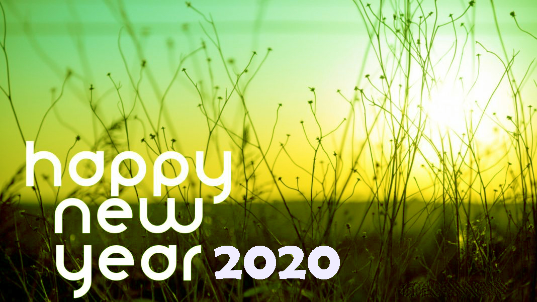 Grass - HD Wallpaper 