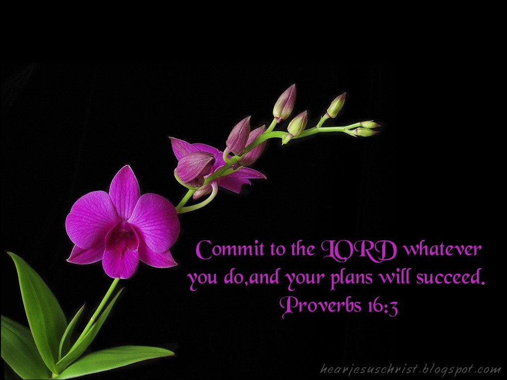 Proverbs Bible Verse - HD Wallpaper 