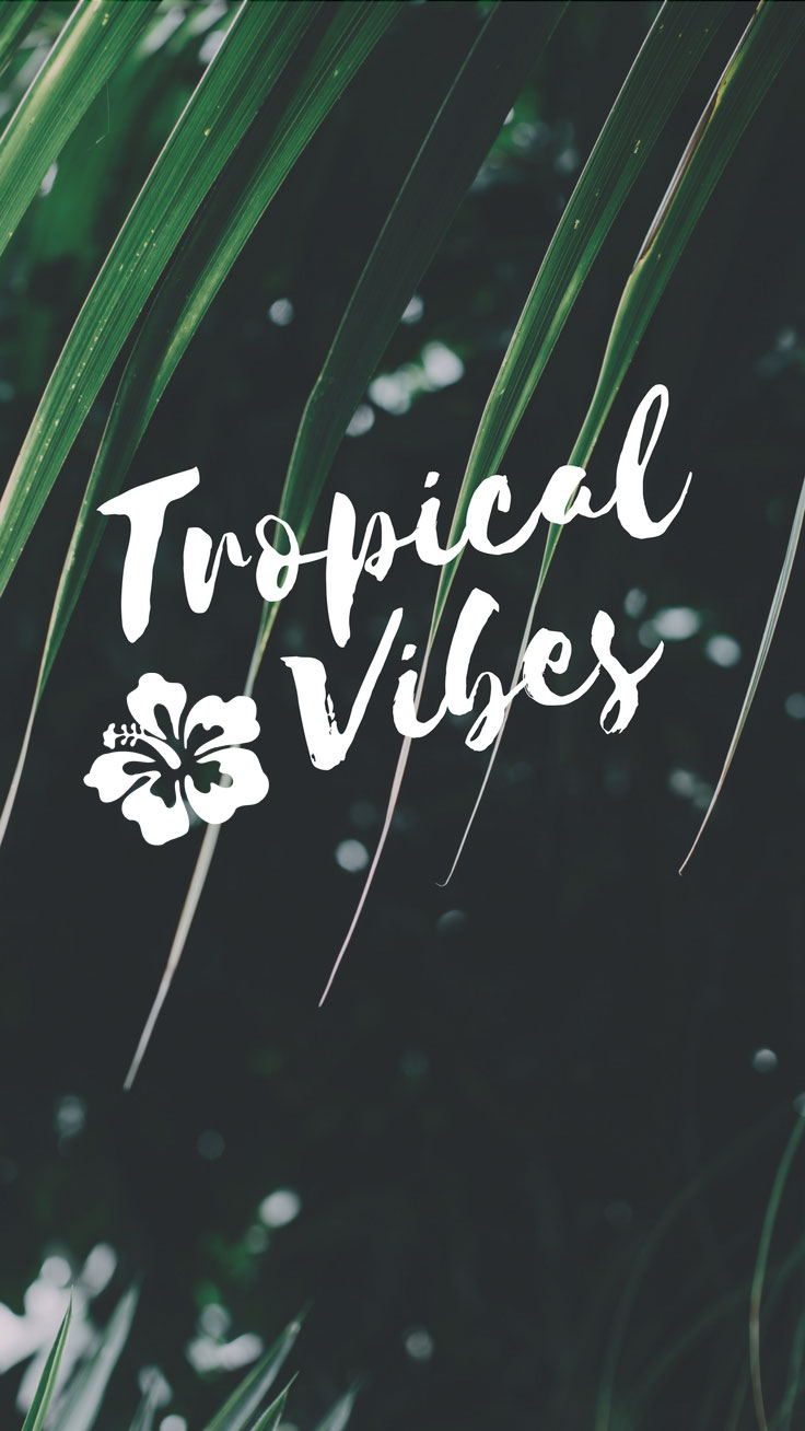 Tropical Vibes Quote Iphone 7 Plus Wallpaper / Tap - Iphone Wallpaper Tropical Vibes - HD Wallpaper 
