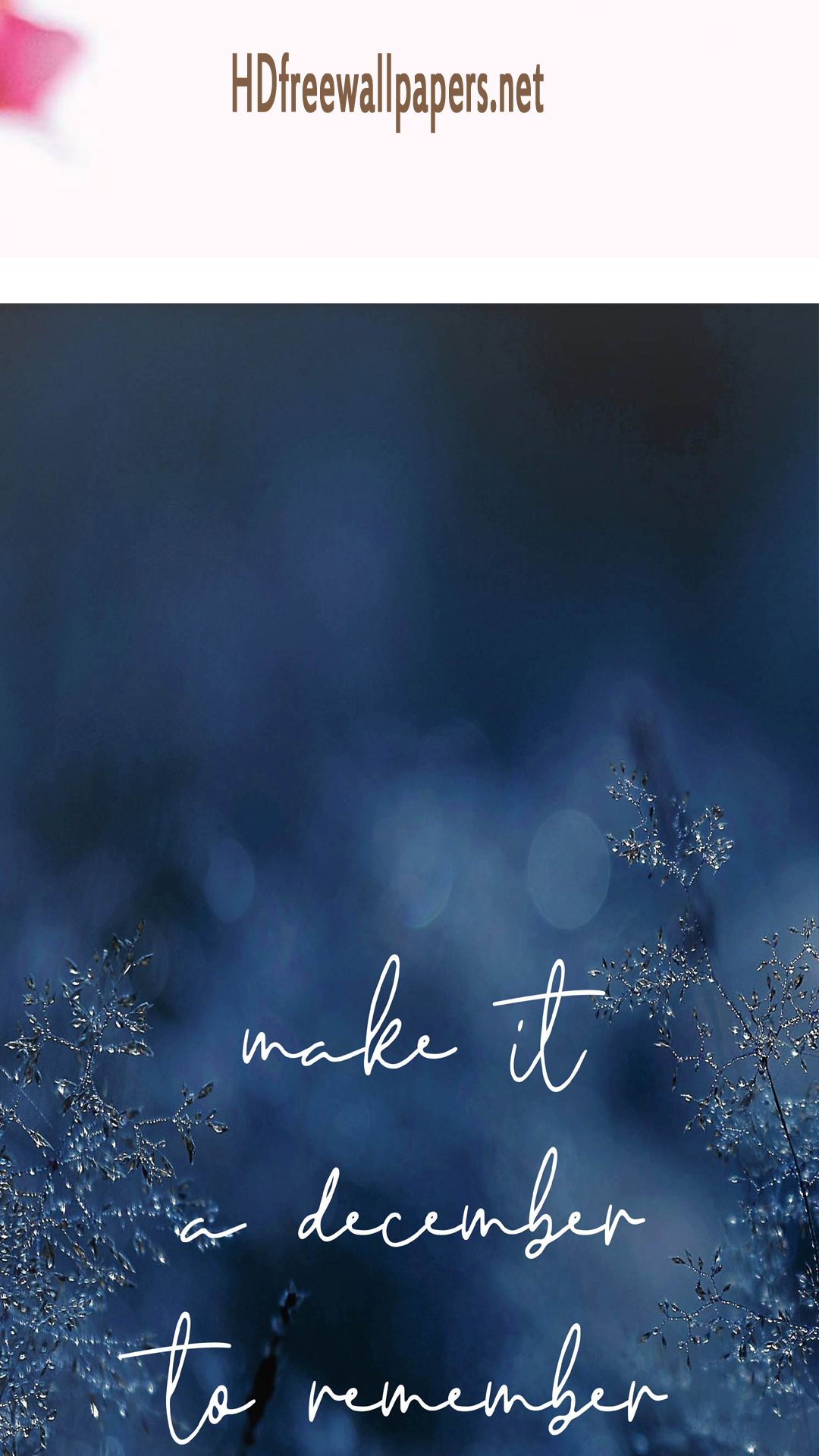 Calligraphy - HD Wallpaper 