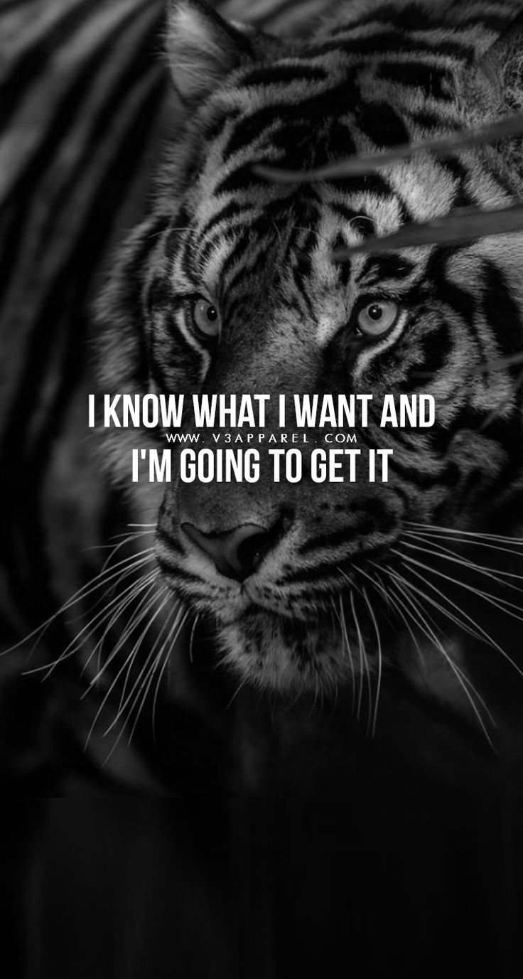 Success Quotes Know What I Want And I Am Going To Get It 736x1377