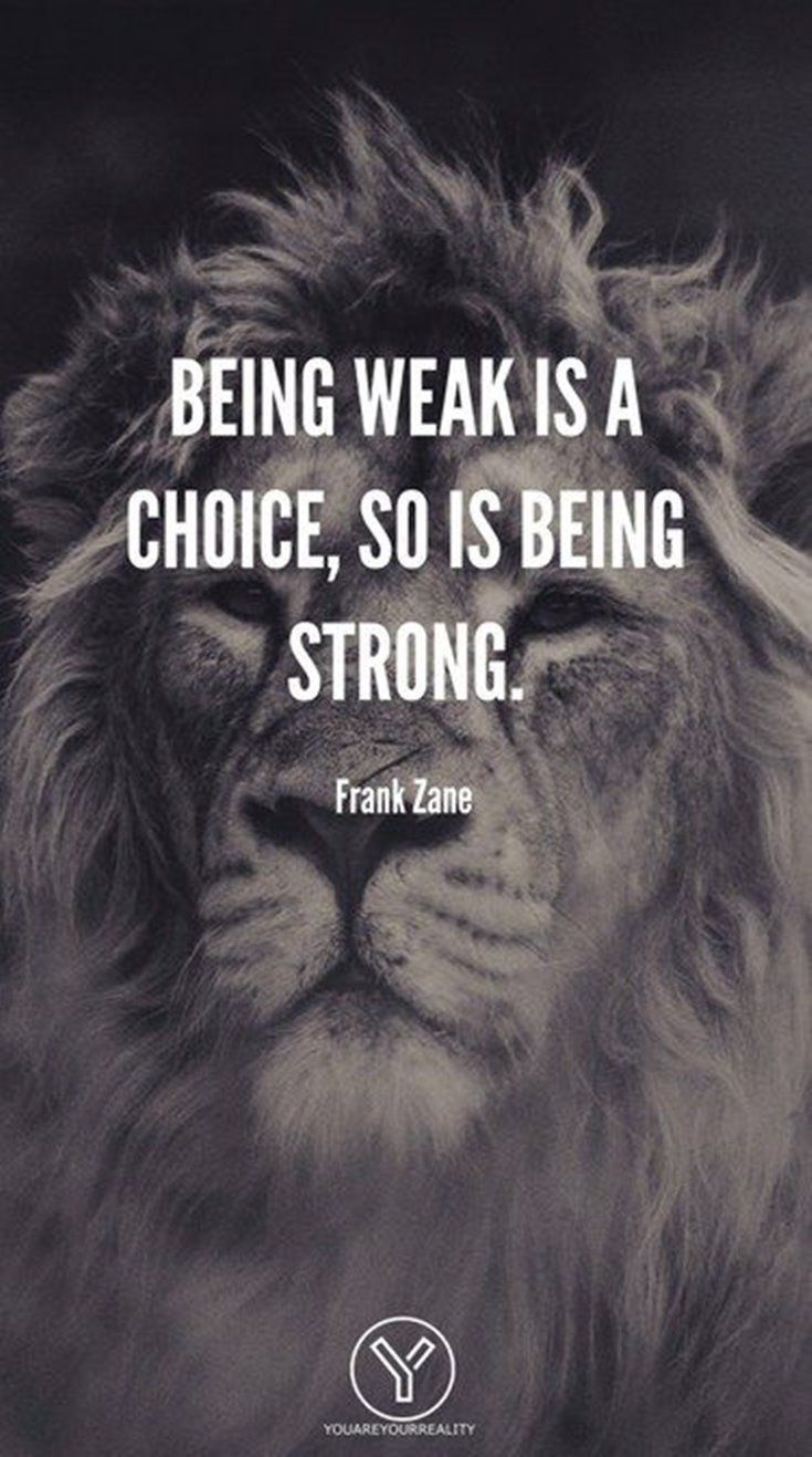Lion Hd Wallpaper Quote - HD Wallpaper 