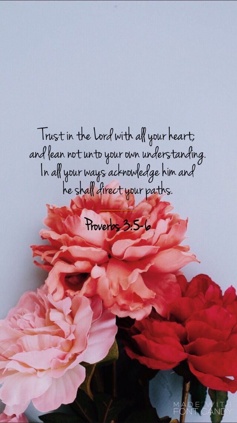 Proverbs 3 5 6 Iphone - HD Wallpaper 