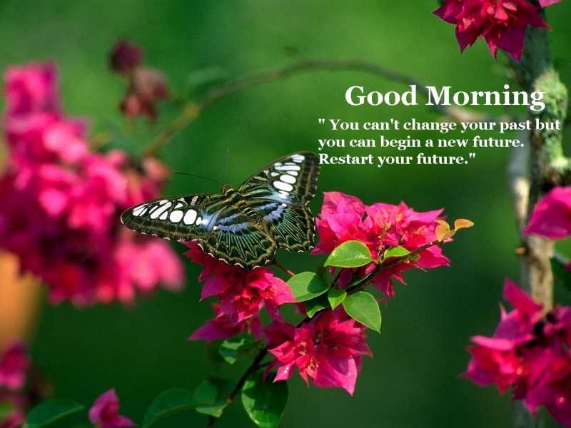 Best Good Morning Images Nature Best Good Morning Images - Good Morning Nature Beautiful - HD Wallpaper 