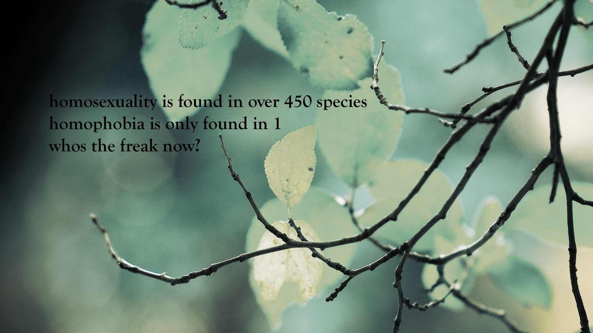 Funny Minimalistic Nature Quotes Text Wallpaper 
 Data - Great Quotes With Natural Background - HD Wallpaper 