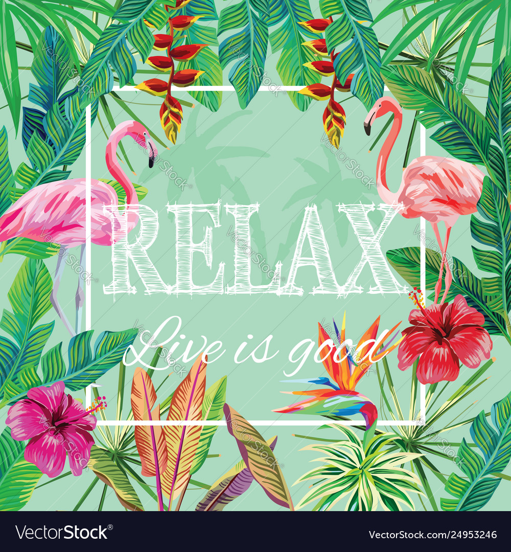 Slogan De Flamingo - HD Wallpaper 