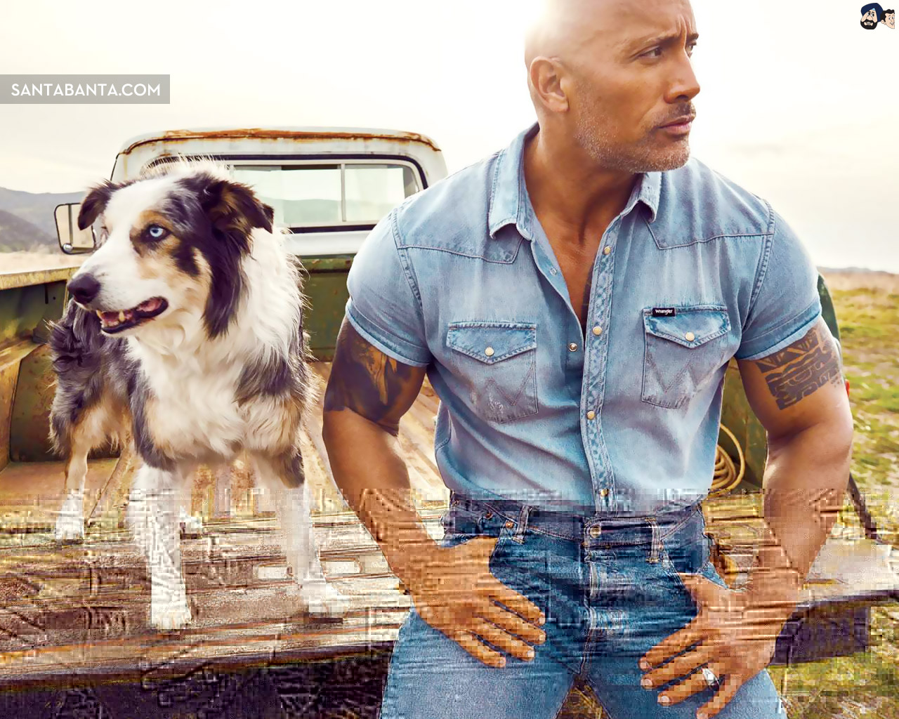 Dwayne Johnson - Dwayne Johnson La Lakers - HD Wallpaper 