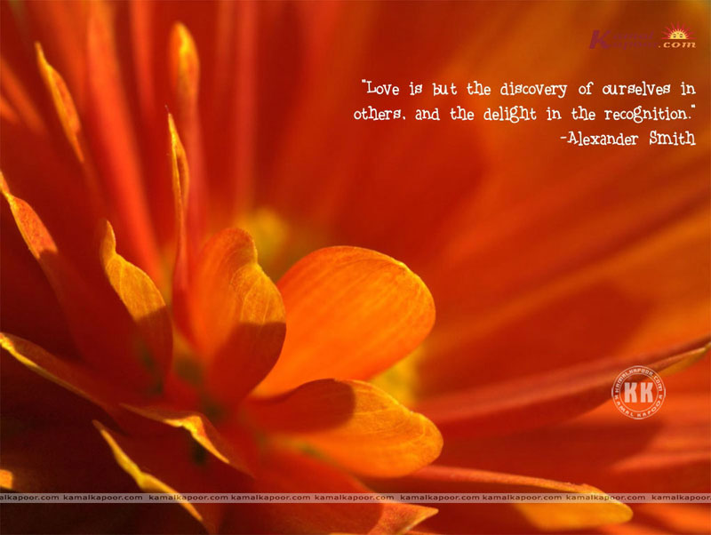 Orange Backgrounds - HD Wallpaper 