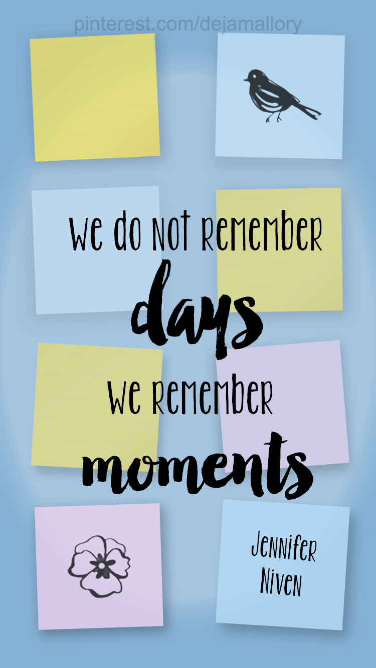 Robin - HD Wallpaper 