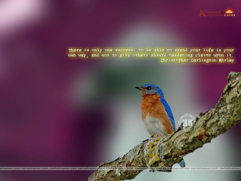 Fact-quotation Wallpaper - Nature Wallpapers With Quote - HD Wallpaper 
