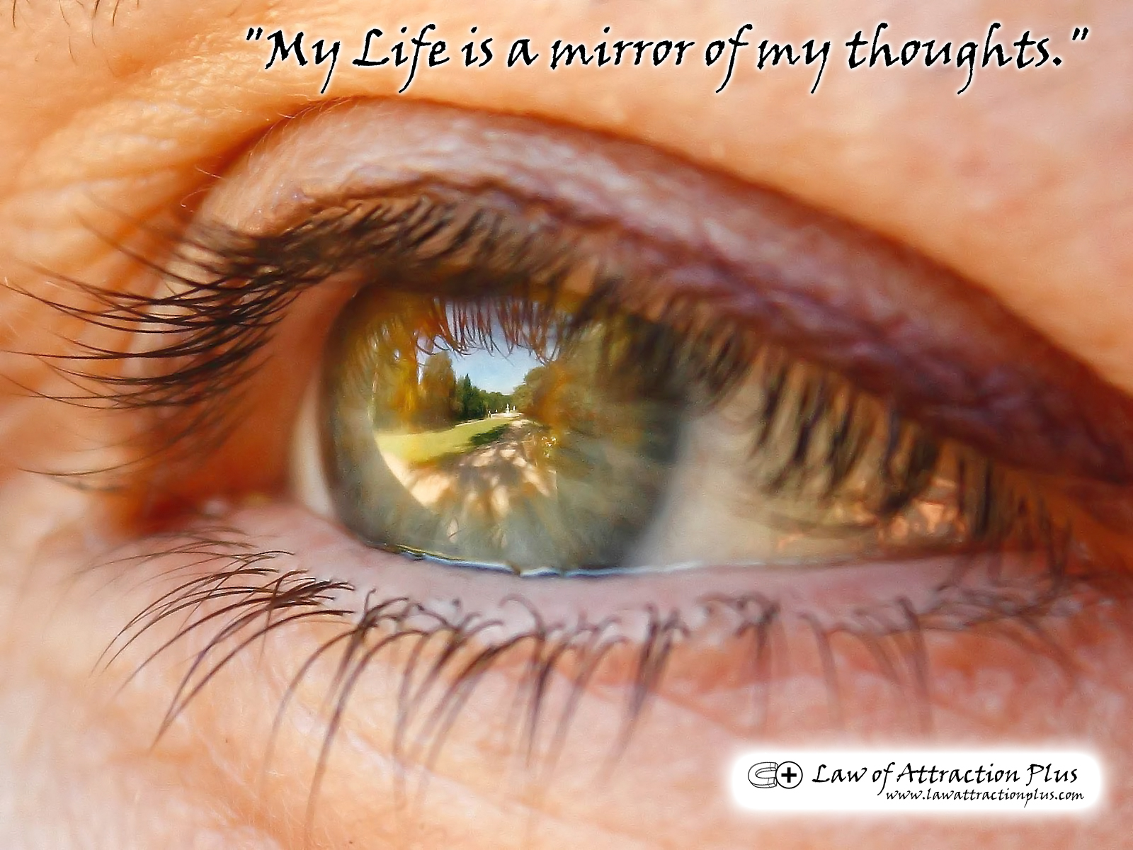 Free Law Of Attraction Wallpaper With Decree And Positive - Piensa Lo Bueno Y Se Te Dará - HD Wallpaper 