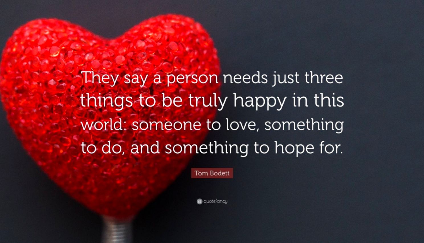 Happiness Quotes 100 Wallpapers Quotefancy - Person Needs Three Things In Life - HD Wallpaper 