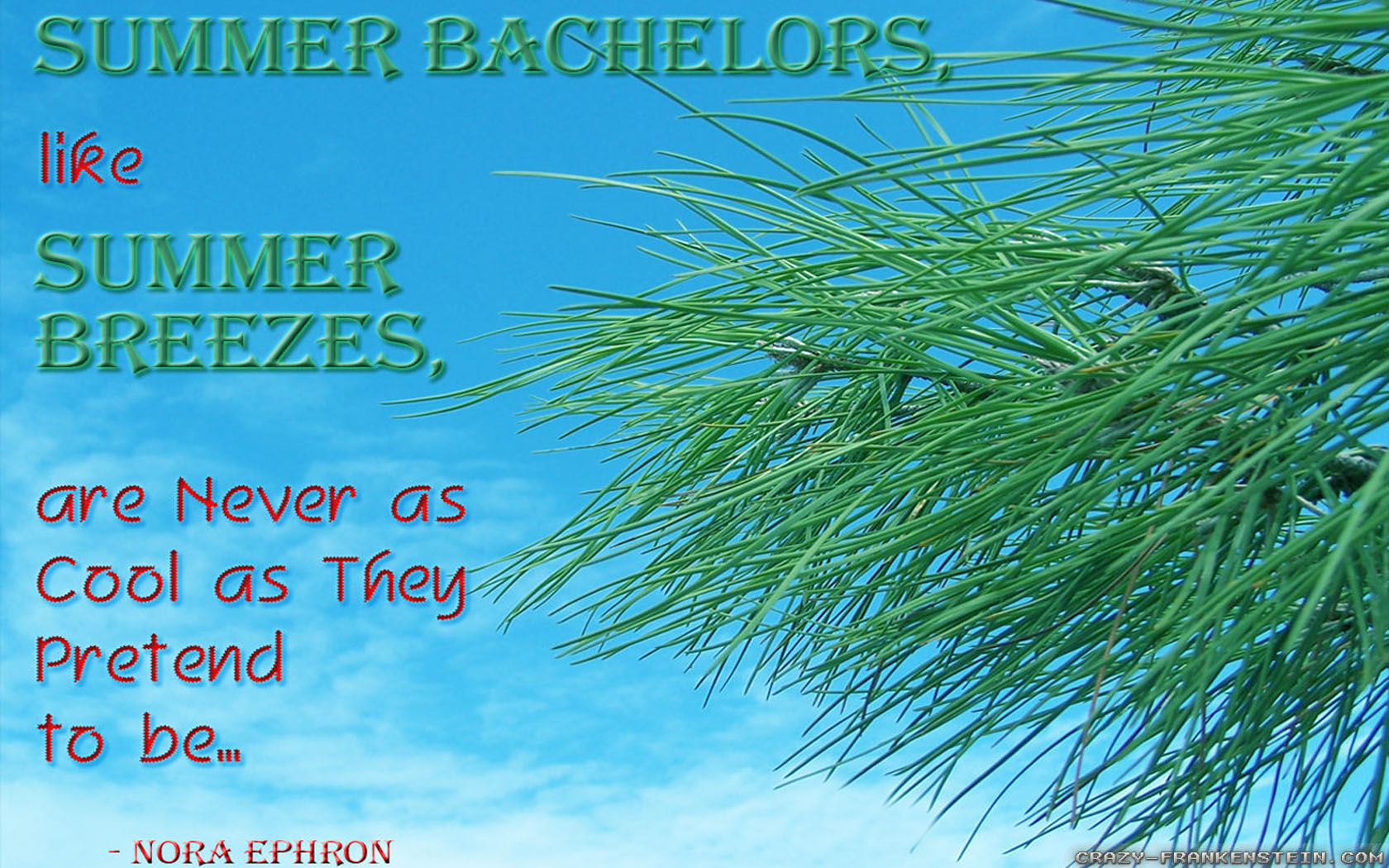 Pond Pine - HD Wallpaper 