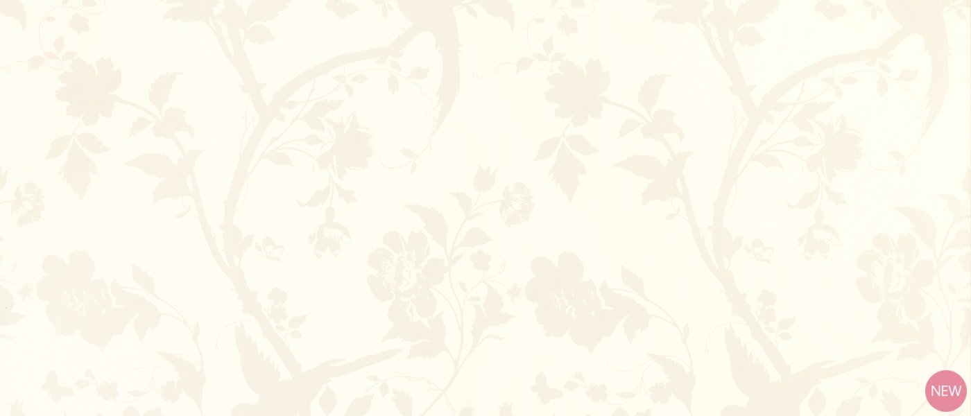 Wallpaper - HD Wallpaper 