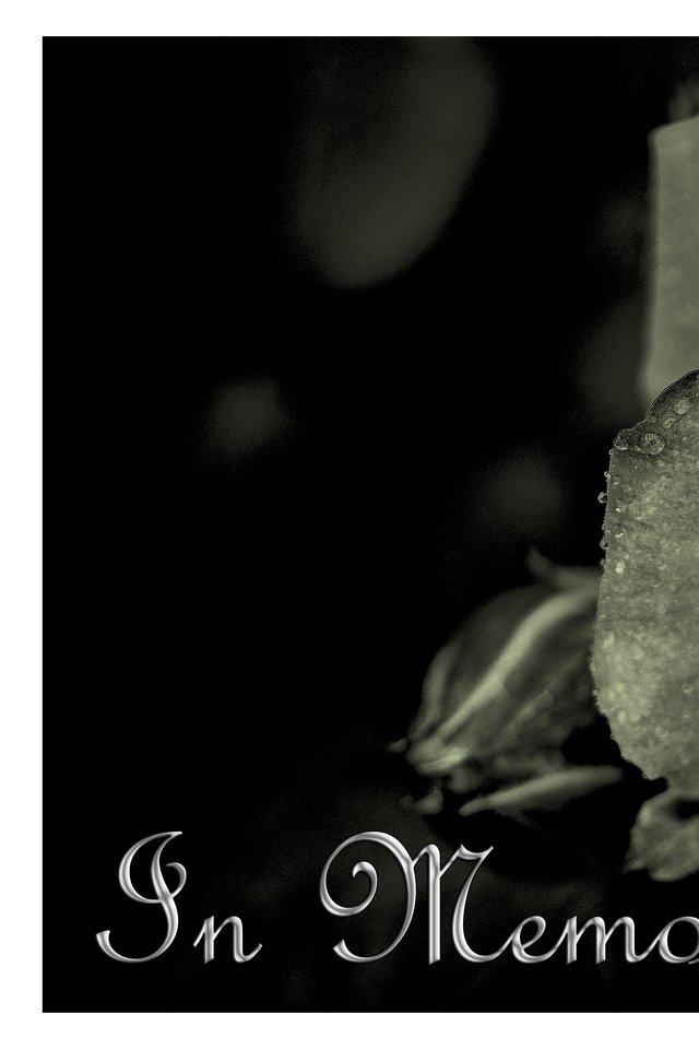 Mourning, Death, Die, Trauerkarte, Memory, Rose, Saying - Rosa Funeral - HD Wallpaper 