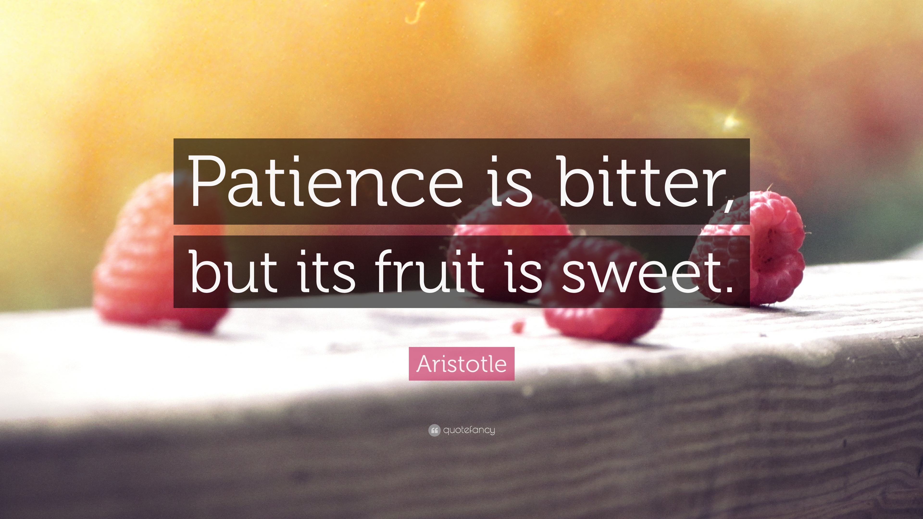 “patience Is Bitter, But Its Fruit Is Sweet - There Are No Limits Quote - HD Wallpaper 