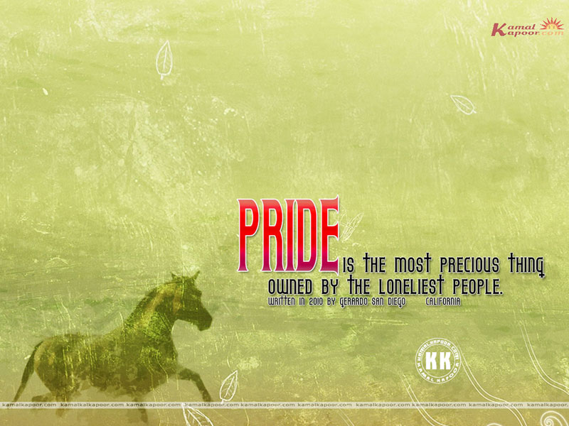 Pangong Tso - HD Wallpaper 