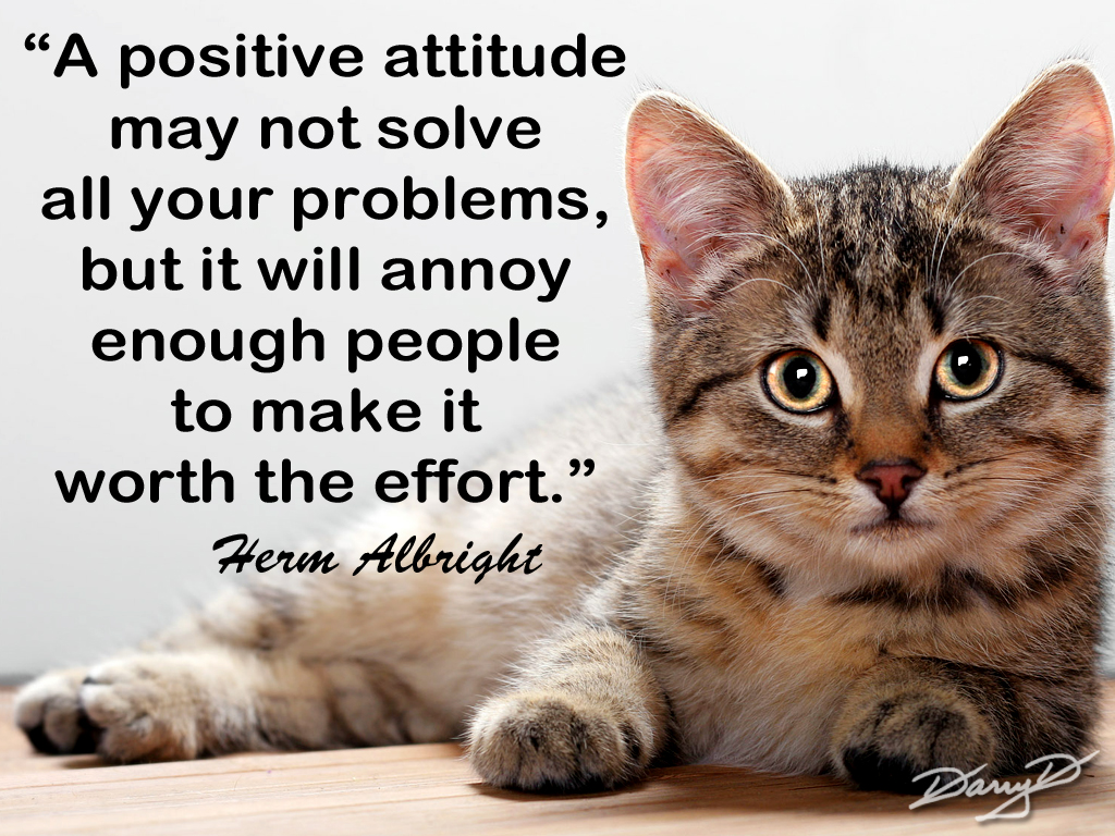 Cool Positive Attitude Quotes For Work - Free Images Of Cat - HD Wallpaper 