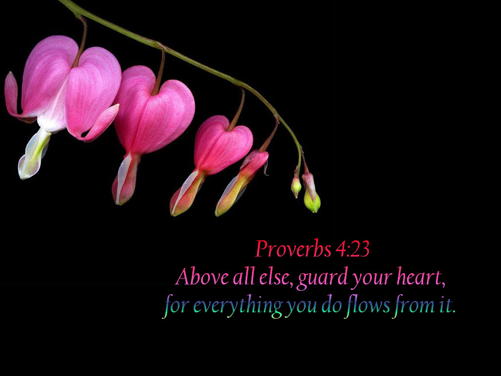 Bible Verses Wallpaper Proverbs - HD Wallpaper 