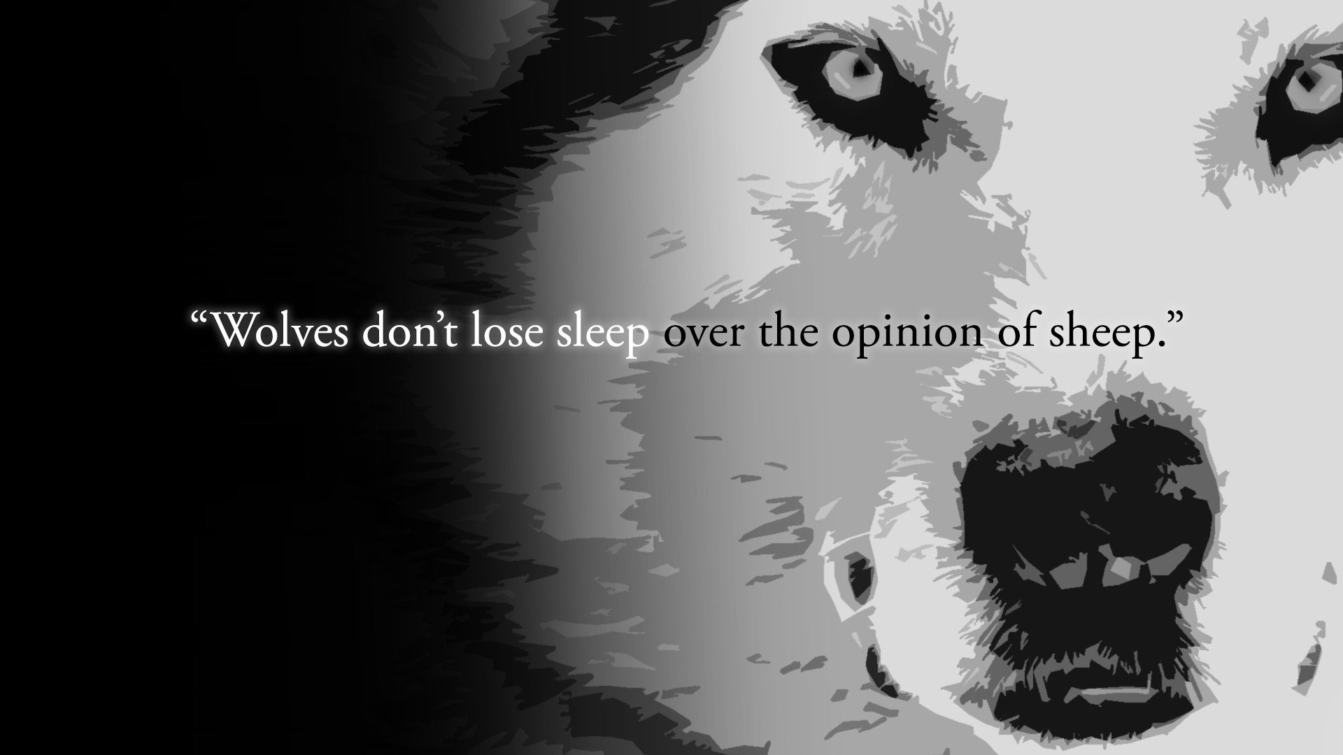 High Resolution Quote Full Hd Wallpaper Id - Wolves Dont Lose Sleep Over The Opinions - HD Wallpaper 