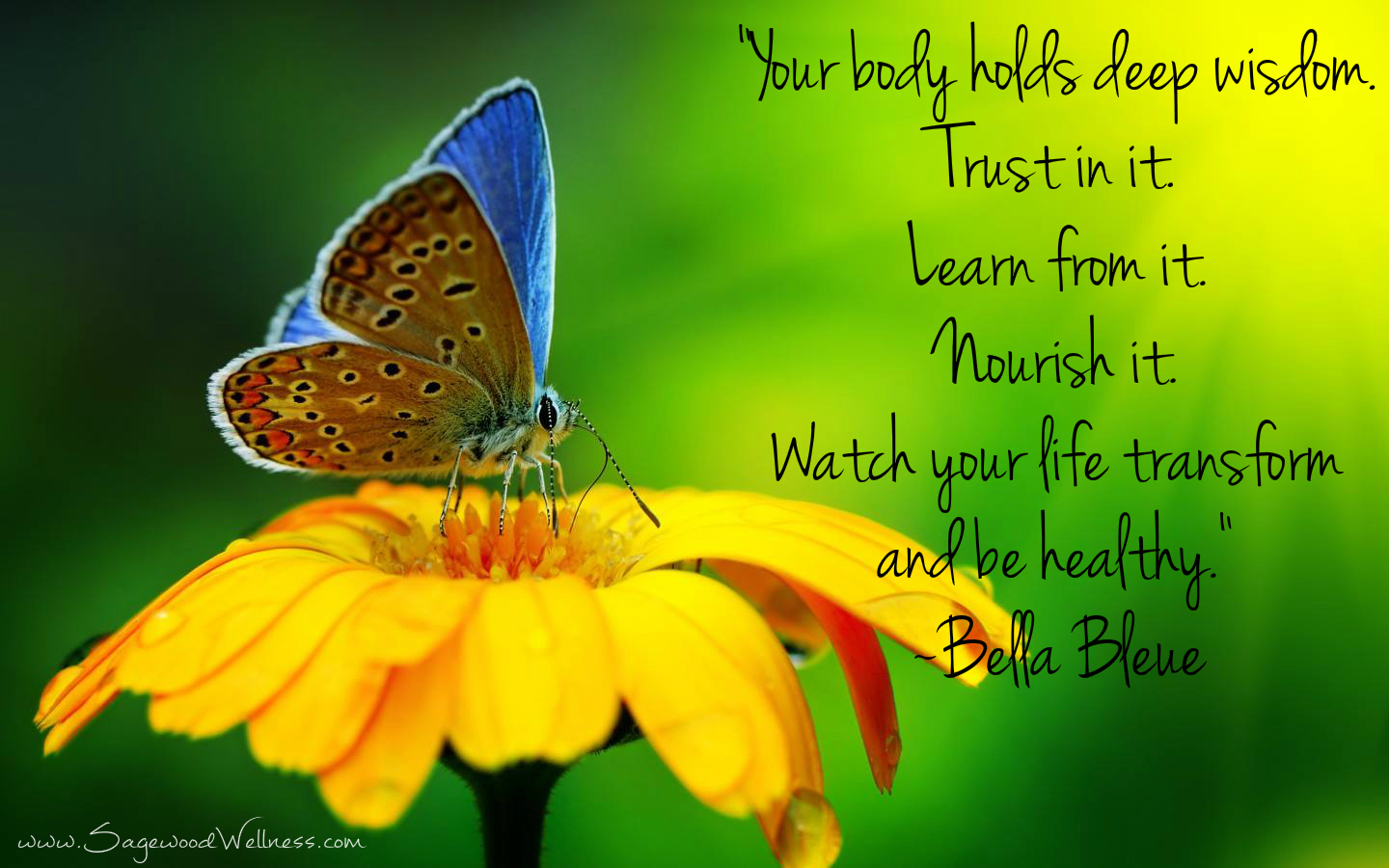 Hd Inspirational Health And Wellness Quotes On Top - Nature Flowers And Butterflies - HD Wallpaper 