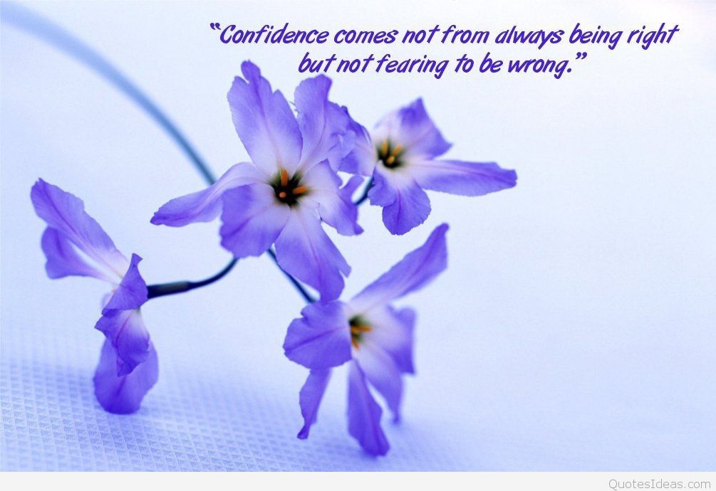 Gesto De Amor Ao Próximo - HD Wallpaper 