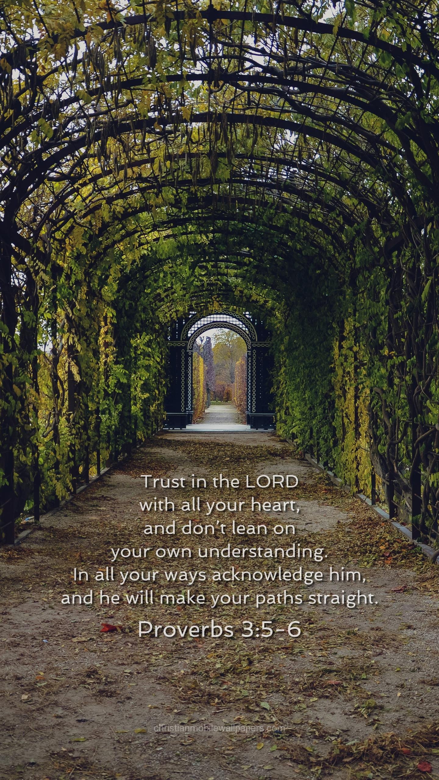 Proverbs 3 5 6 Phone - HD Wallpaper 