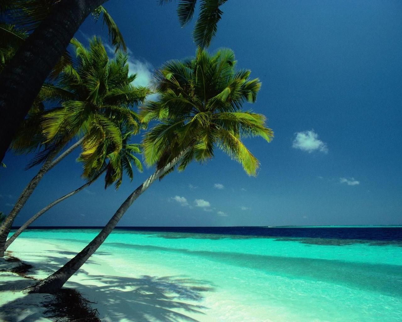 Tropical Beach - HD Wallpaper 