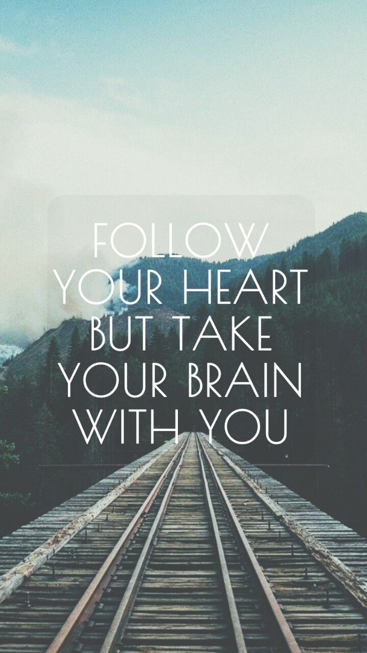 Follow Your Heart But Take Your Brain - HD Wallpaper 