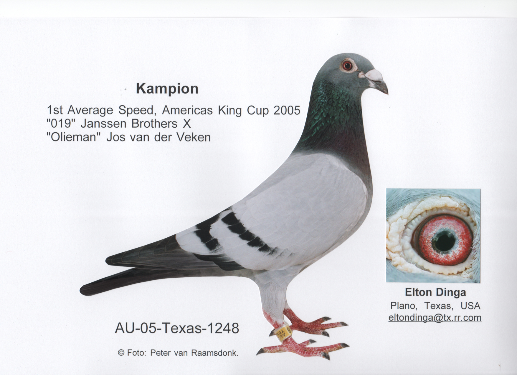 G &s Verkerk Sprint - HD Wallpaper 