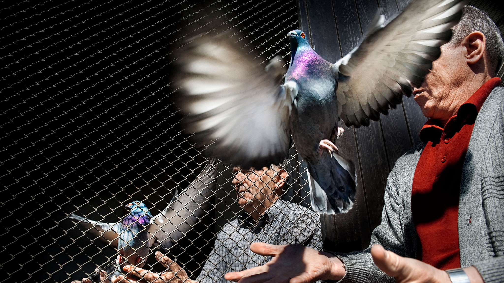 Najlepsze Zdjecia National Geographic Tomasz Tomaszewski - HD Wallpaper 