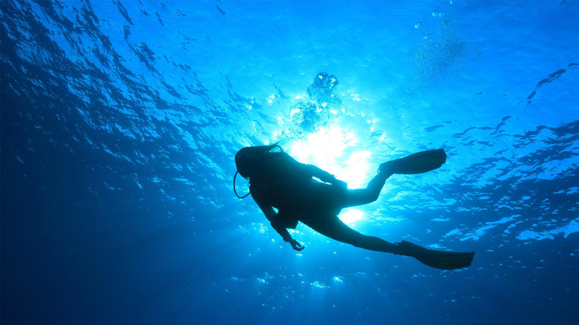 Scuba Diving Wallpaper Â  
 Data Src Scuba Diving - Scuba Diver - HD Wallpaper 