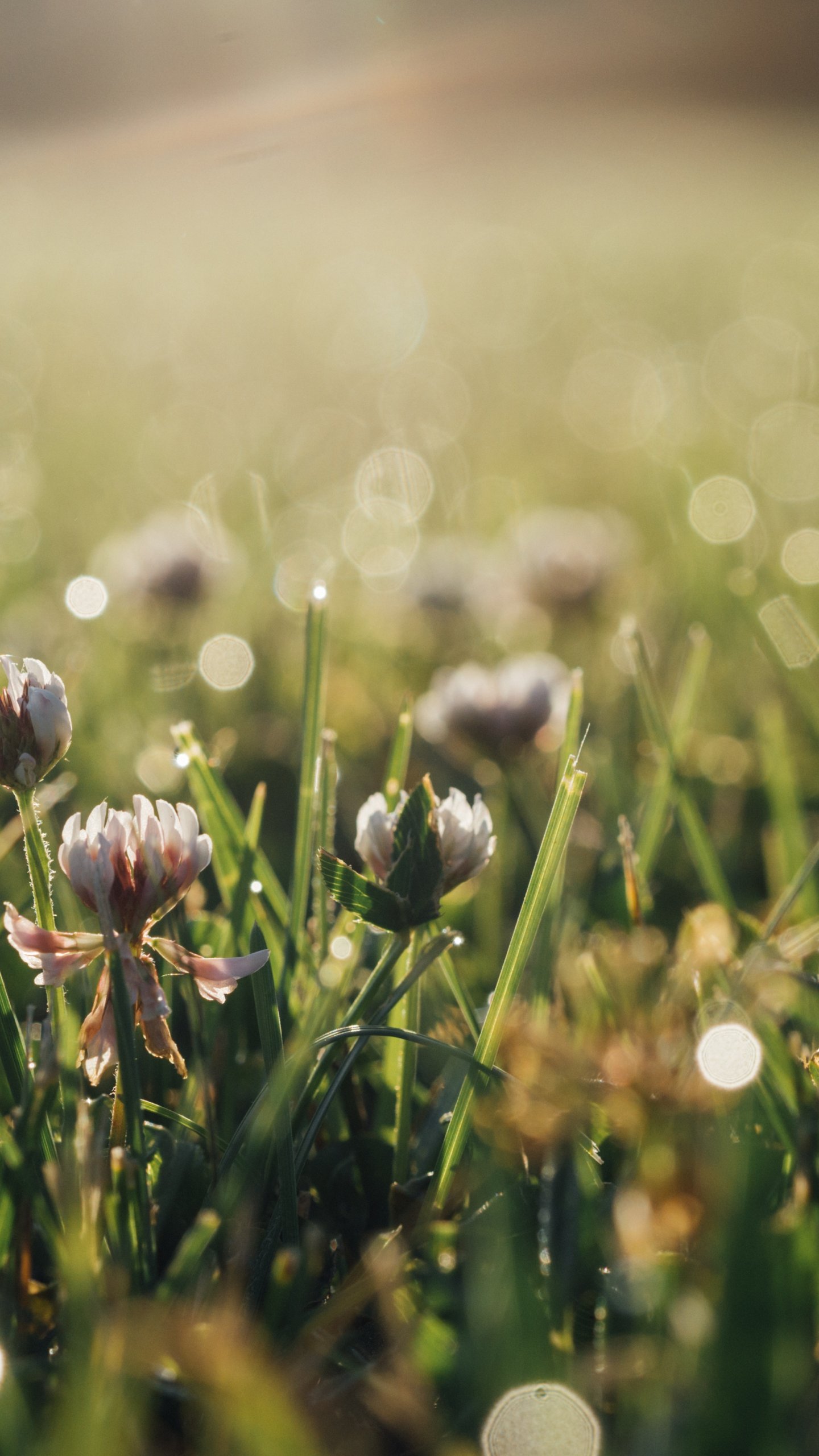 1 John 3 14 - HD Wallpaper 