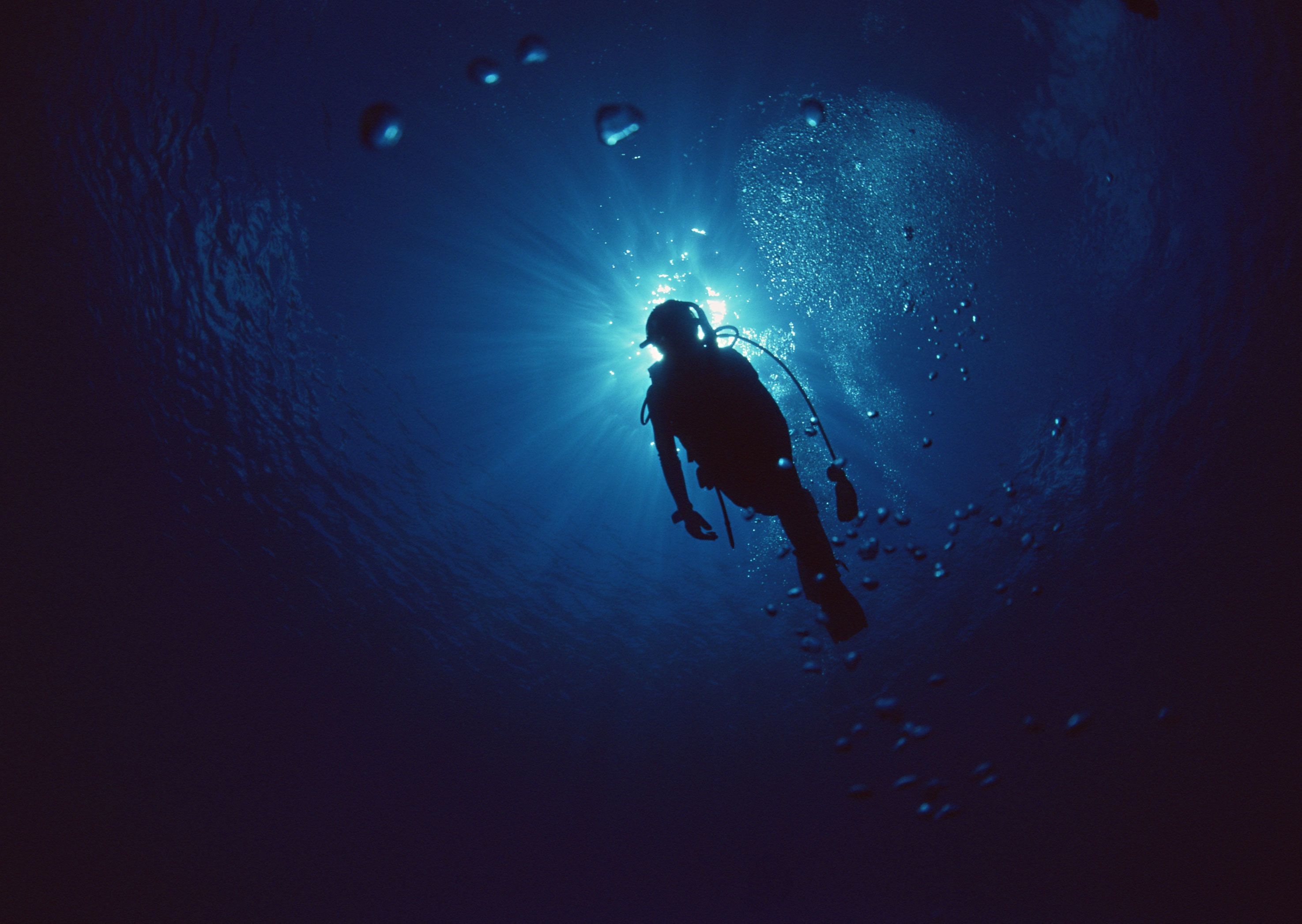 2950x2094, Free Scuba Diving Wallpapers - Scuba Diving Wallpaper 4k - 2950x2094 Wallpaper 2950x2094, Free Scuba Diving Wallpapers - Scuba Diving Wallpaper 4k - 2950x2094 Wallpaper