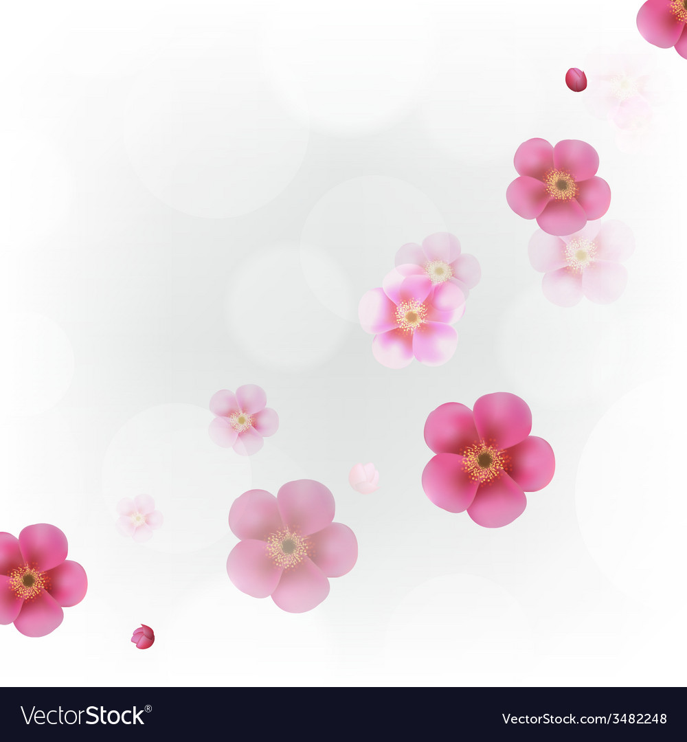Wall Paper Flowers Pastels - HD Wallpaper 