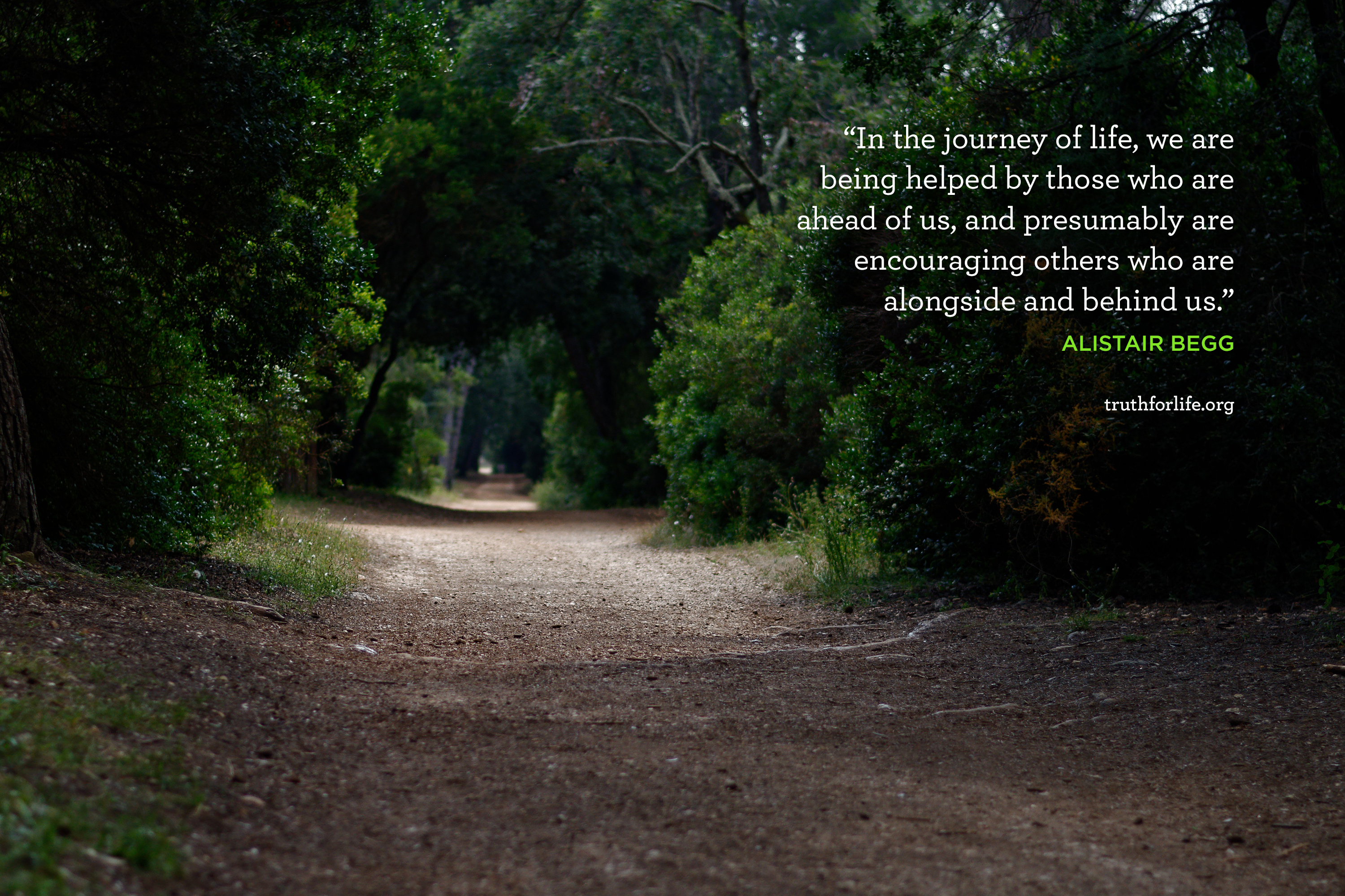 Grove - HD Wallpaper 