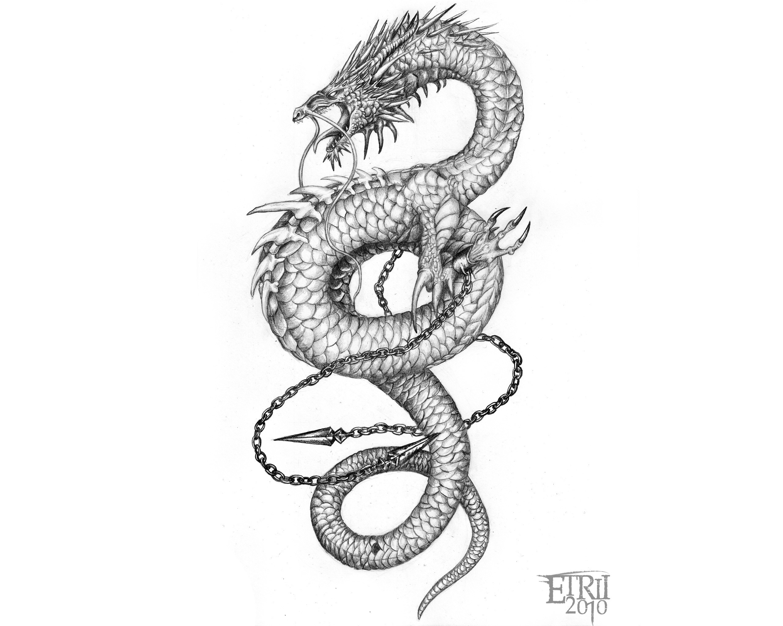 2560x2048, Chinese Dragon Wallpaper Tattoo - Cool Chinese Dragon Tattoos -  2560x2048 Wallpaper 