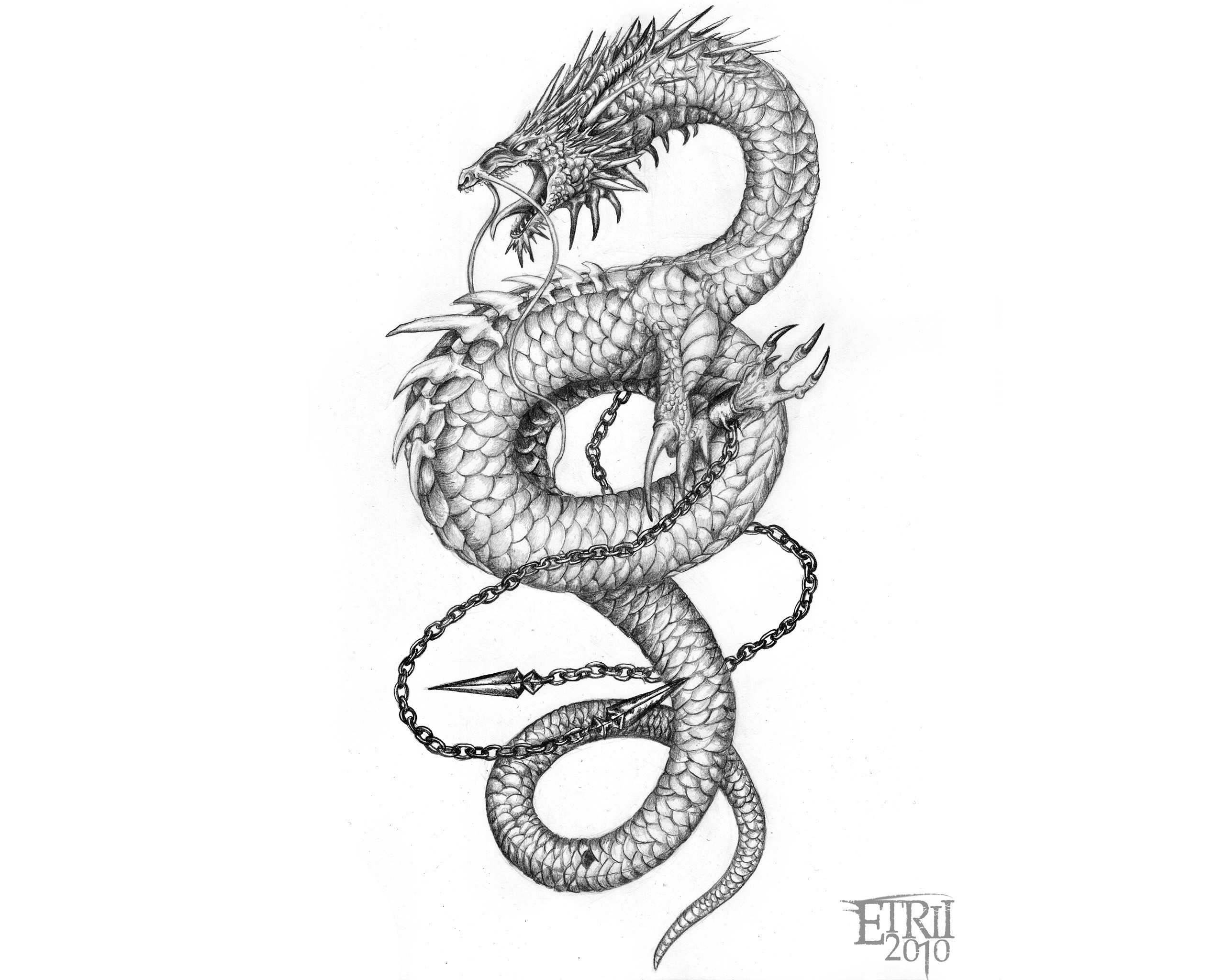 2560x2048, Chinese Dragon Wallpaper Tattoo - Cool Chinese Dragon Tattoos - HD Wallpaper 