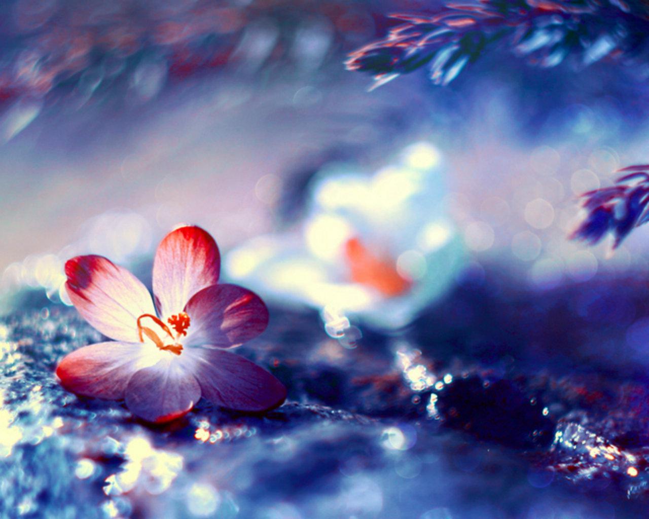 When Was The Last Time You Took Time To Enjoy The Wonders - Beautiful Thoughts Of The Day - HD Wallpaper 