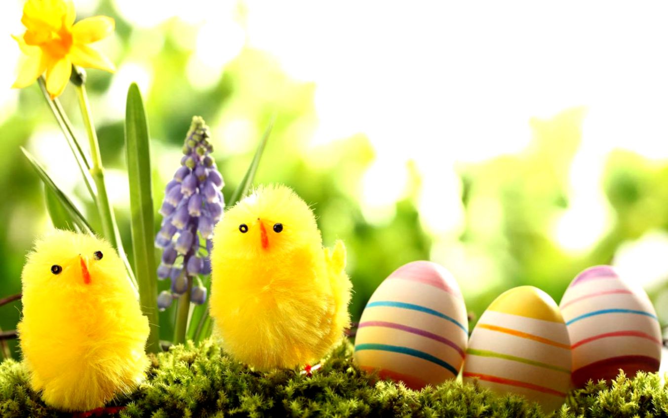 10 Best Easter Desktop Wallpapers - Easter Desktop Backgrounds - HD Wallpaper 