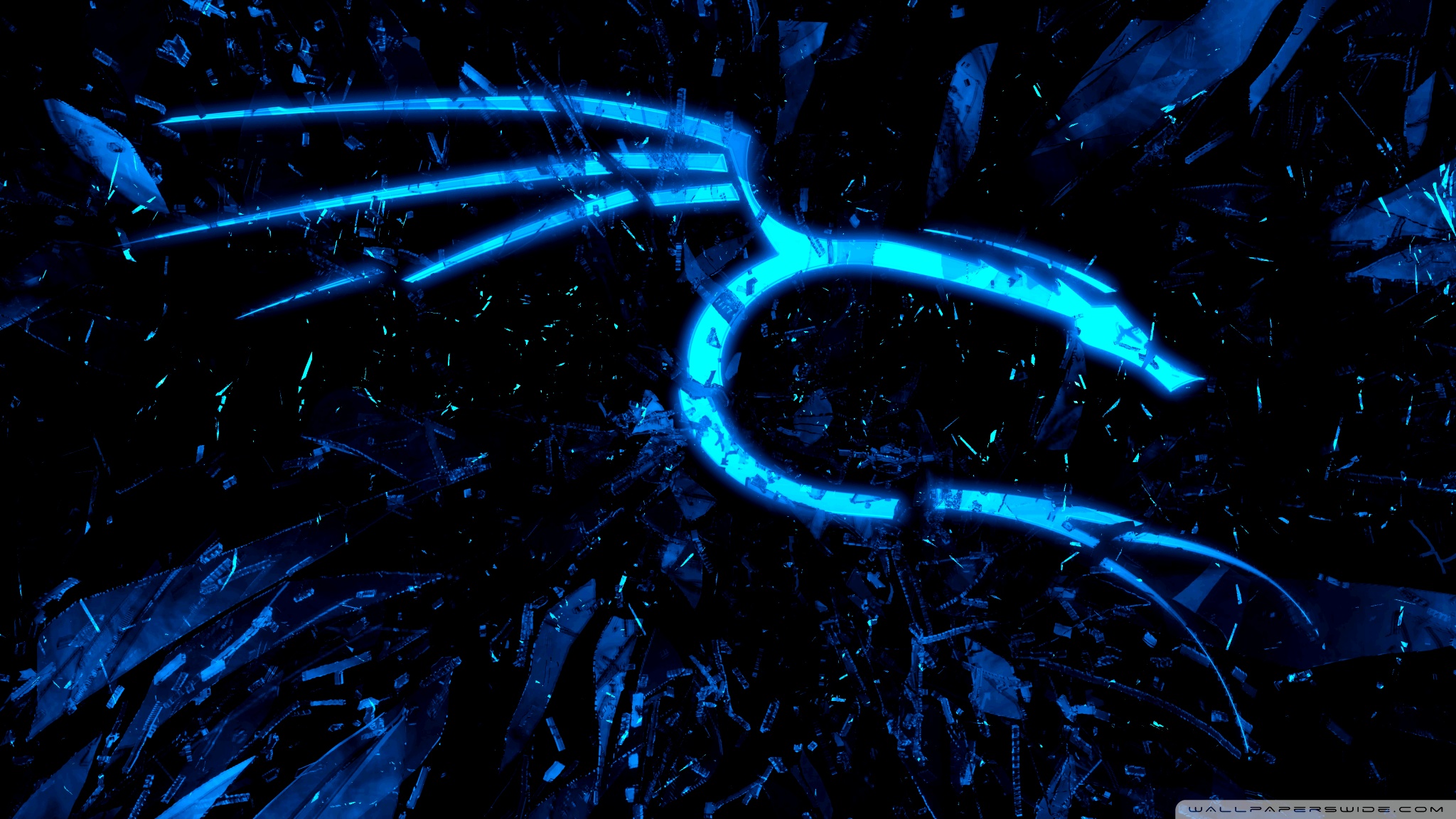 Blue Dragon Wallpaper 4k - HD Wallpaper 