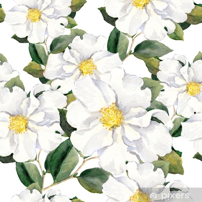 White Camellia Watercolour Paint - HD Wallpaper 