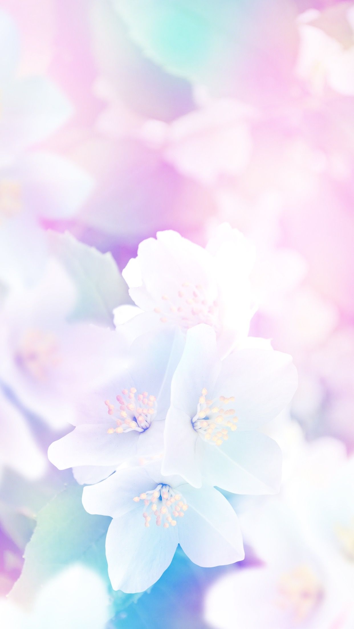 Pastel Cute Wallpaper Iphone X 1242x28 Wallpaper Teahub Io